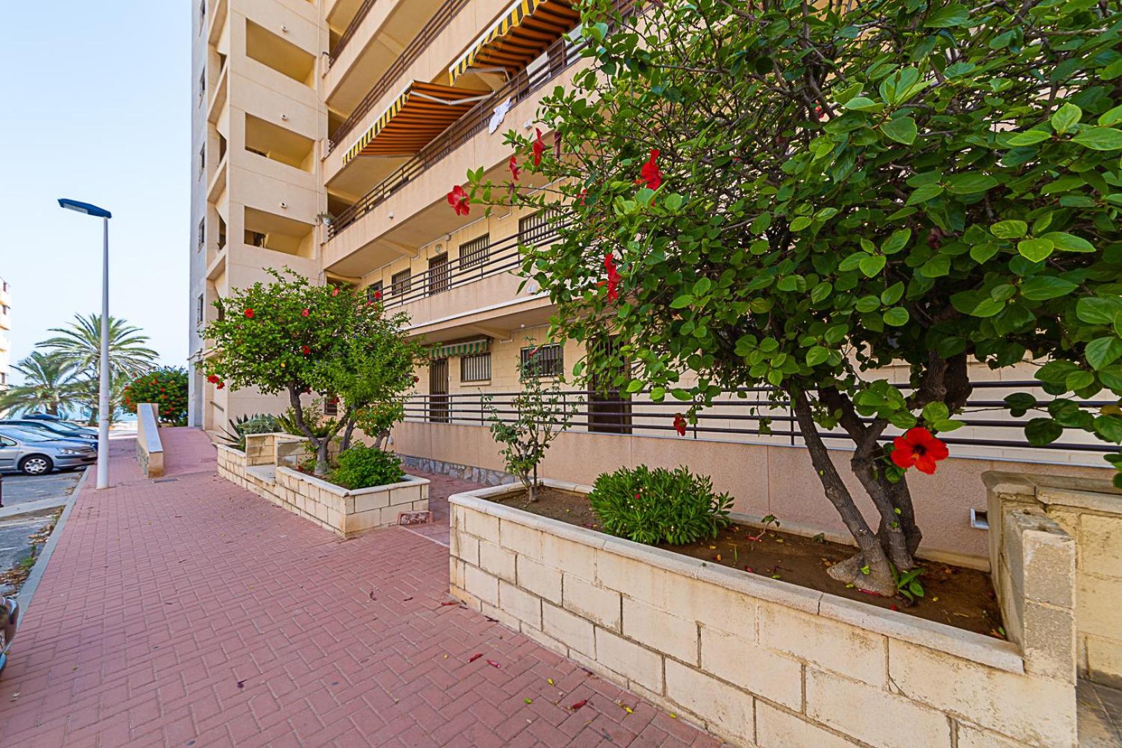 Miramar Magic Sea & Sunrise View Lägenhet Torrevieja Exteriör bild